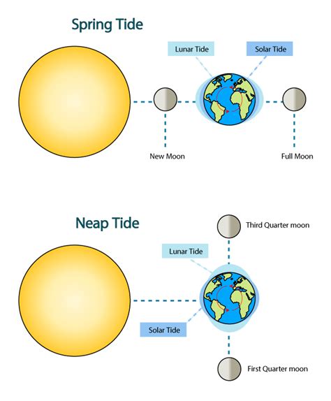 Neap Tides Definition | Neap Tides Moon Phase | Neap Tides Diagram ...