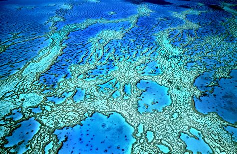 NASA Steps Up to Track the Shrinking of Earth’s Coral Reefs | WIRED