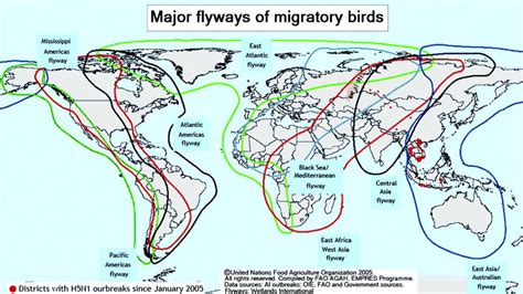 Map showing the global routes of migratory birds. | Download Scientific ...