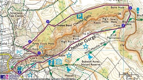 Cheddar Gorge walk | Cheddar gorge, Gorges, Cheddar