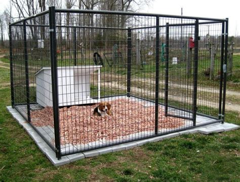 8 DIY Outdoor Dog Kennel Ideas: Build the Perfect Dog House