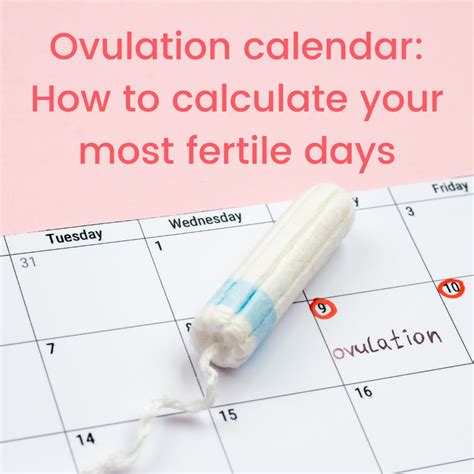 Ovulation Calendar: How To Calculate Your Most Fertile Days