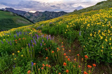 10 Best Landscape and Scenic Photos of 2015 | Clint Losee Photography