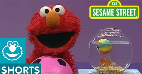 Sesame Street: Elmo's World: Play Ball! - VoiceTube: Learn English ...