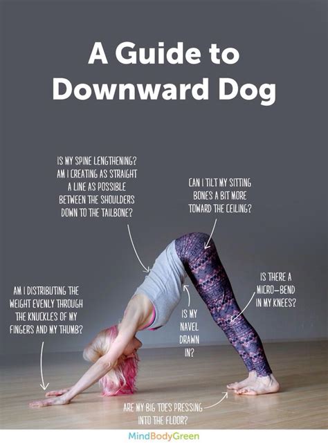 Yoga Alignment Workshop Series: Downward Facing Dog, Adho Mukha ...