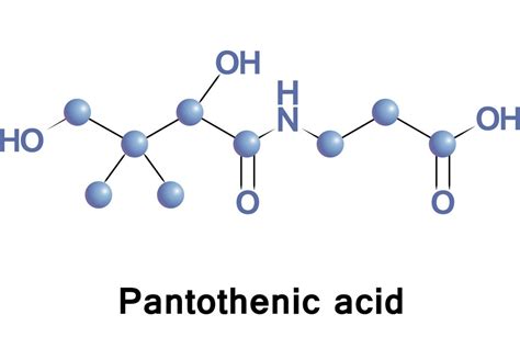 PANTOTHENIC ACID – Global Vitamin Co.,Ltd