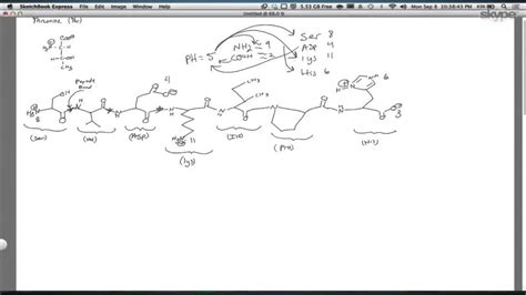 Biochemistry: Protein structure (1) - YouTube