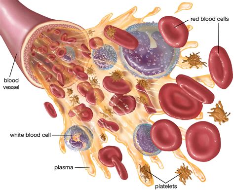 Hemorrhagic shock causes, signs, symptoms, diagnosis & treatment