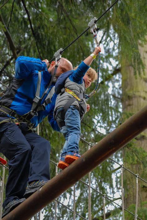 Tree Top Adventure at Go Ape, Thetford Forest. - Dinky Pix