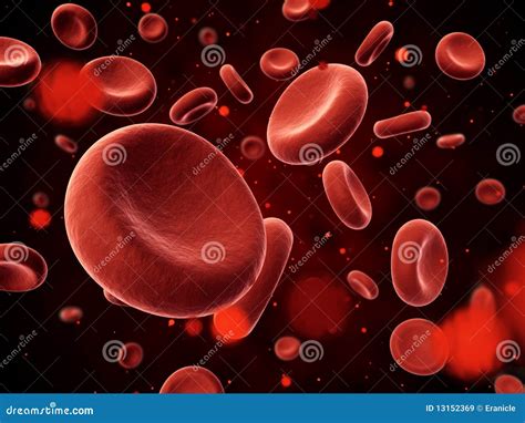 Erythrocyte Royalty Free Stock Images - Image: 13152369