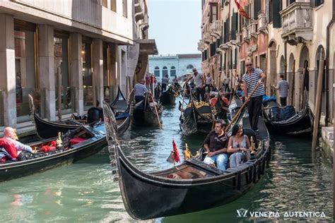 Venetian gondola: history of the most typical boat in Venice - Web Top News