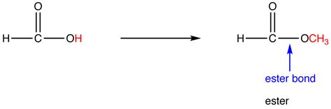 Ester Functional Group and Esterification | ChemTalk