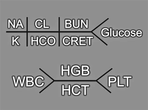 Lab Diagram Template