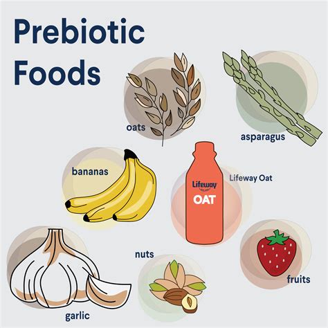 List Of Probiotic Foods