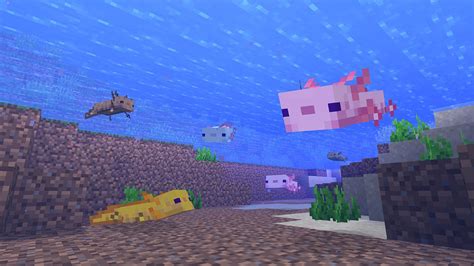 Axolotl Minecraft Skin Texture – Telegraph