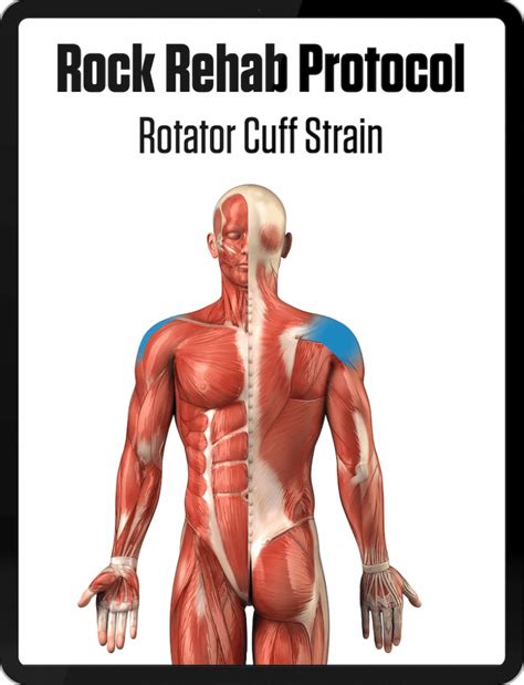 Rotator Cuff Strain Climbing Rehab Protocol