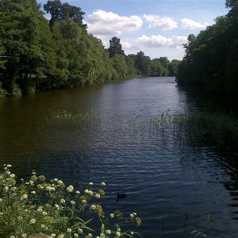 Fishing at Virginia Water Lake | Allaboutangling.net