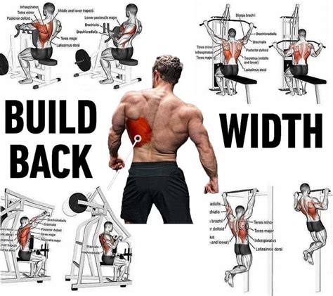 How to Build Lower Back Muscle