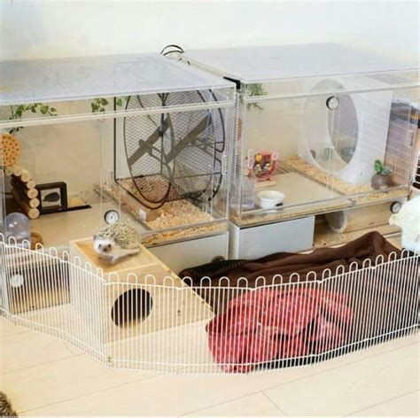 15+ DIY Guinea Pig Cage Inspiration That is Easy to Make on Your Own - NRB