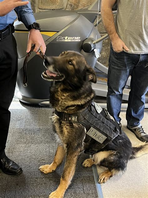 HAPPY RETIREMENT LUKE 🐕‍🦺... - Atascadero Police Department