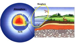 Biosphere Definition