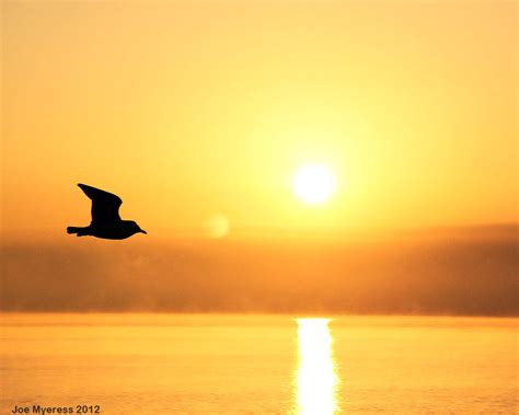 Sunrise at the Beach - My favorite images