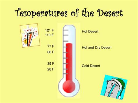 PPT - Desert Biome PowerPoint Presentation, free download - ID:2756458