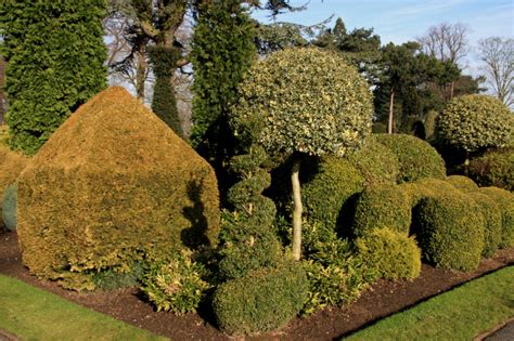 53 Stunning Topiary Trees, Gardens, Plants and Other Shapes