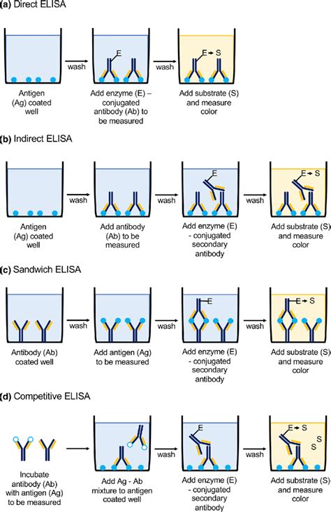 Direct Elisa