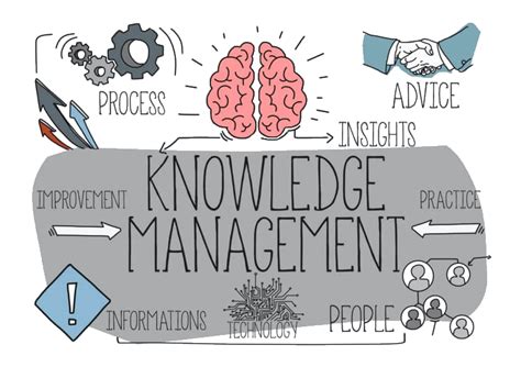 What is knowledge management? · Blog