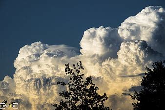 HD pileus wallpapers | Peakpx