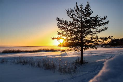 Snow Covered Lapland in Finland · Free Stock Photo