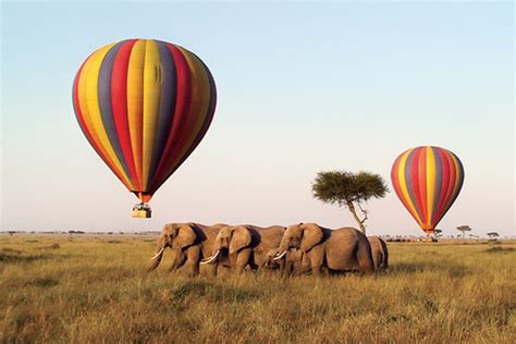 Hot-air Balloon Safari | Masai Mara, Kenya Photo by Rose Log… | Flickr