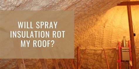 Spray Foam Insulation Problems - Does it Cause Wood Rot? - Sunlight ...