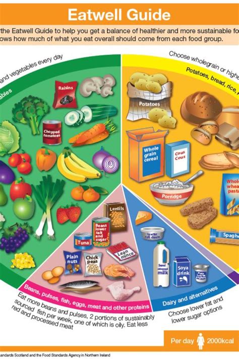 what is types of balanced diet food list chart | Diet a balanced diet ...