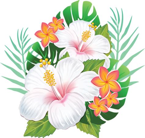 Hawaiian Flower Tattoos, Hawaiian Flowers, Hibiscus Flowers, Exotic ...