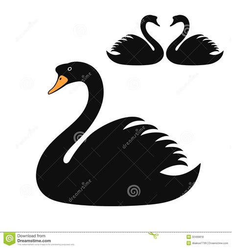 Black swan clipart 20 free Cliparts | Download images on Clipground 2024