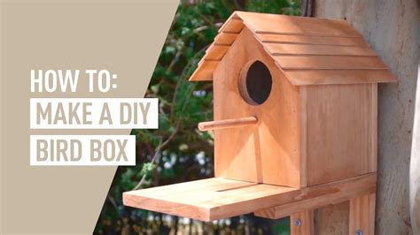 Ozito DIY Bird Box - DIY Projects - YouTube