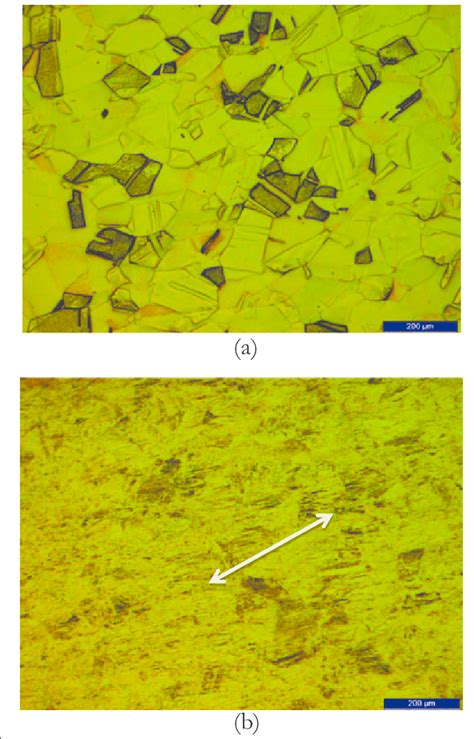 The microstructure of brass specimens. The optical micrographs of brass ...