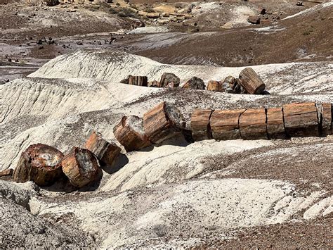 The Petrified Forest National Park