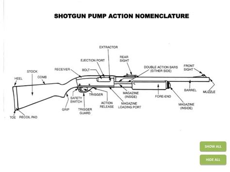 Pump Action Shotgun Diagram