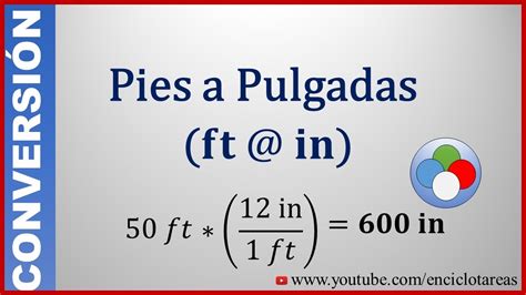 Cuanto Es 6 5 Pies En Metros | PIXMOB