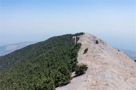 Hiking in Kefalonia’s Mt Ainos National Park | Discover Greece