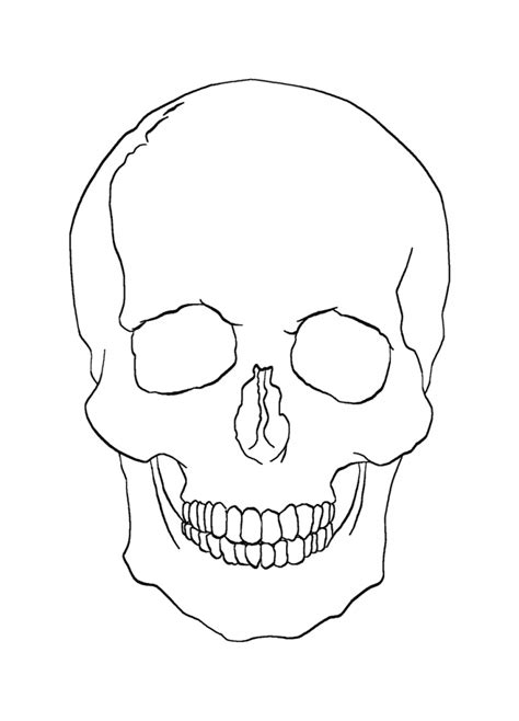 Basic Skull Drawing at GetDrawings | Free download