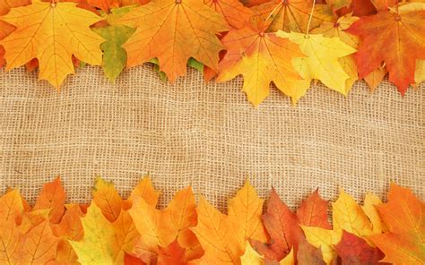 Autumn Leaves Textures Background Autumn Slides Backgrounds for ...