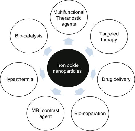 1 Biomedical applications of iron oxide nanoparticles | Download ...