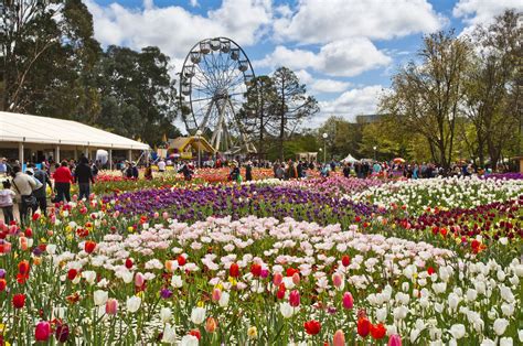 Floriade vs. Toowoomba Carnival of Flowers