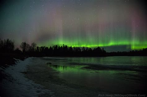 Northern Lights Forecast Duluth Minnesota | Shelly Lighting