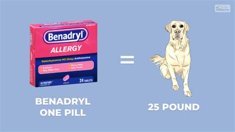 Is Benadryl For Dogs Safe? A Guide to it's Side Effects & Benefits