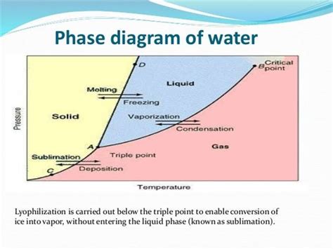 Freeze Drying Phase Diagram